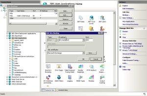 IIS bindings